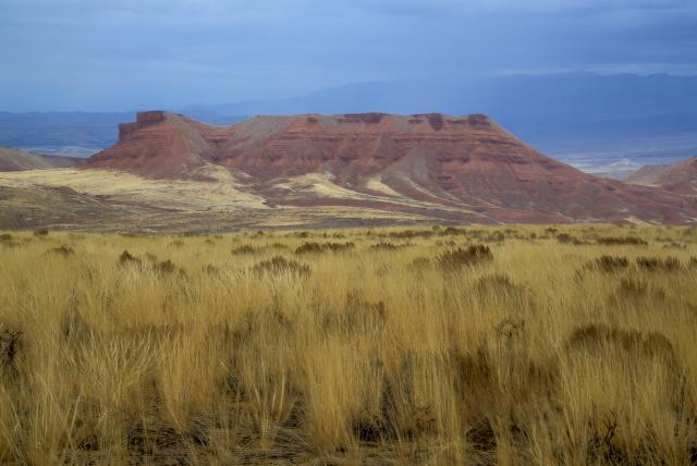 photo of the red gulch 