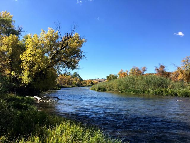 View of tongue river