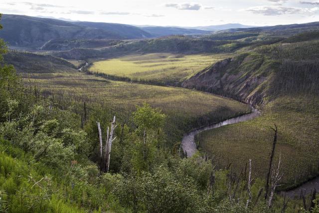 Panoramic view of Fortymile Wild and Scenic River segment in Alaska