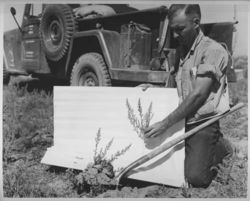 BLM Range Conservationist near Idaho Falls, Idaho 1958