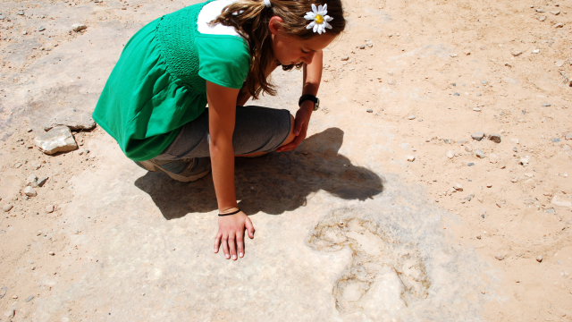 A girl wearing a green shirt with a white daisy in her hair looks at a fossilized footprint on the ground. 