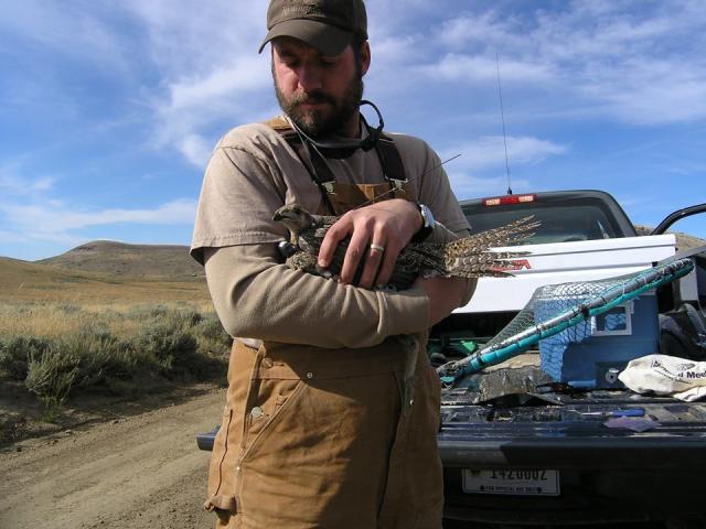 A man wearing a hat and brown overalls holds a sage-grouse in front of a white truck.