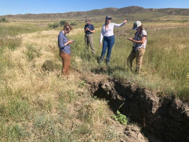 a group of women discuss stream restoration options