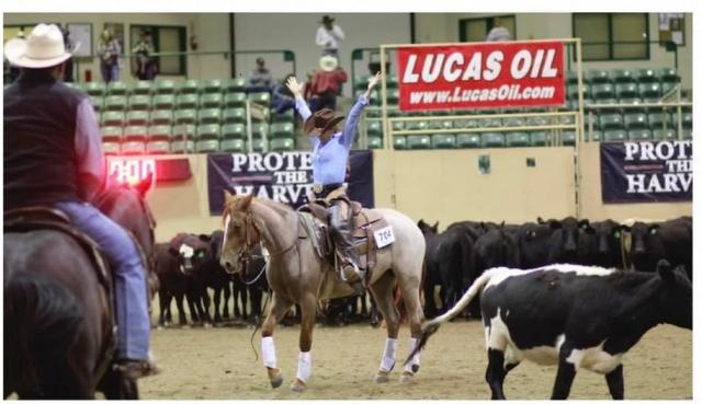 A person sits on a light brown horse with arms raised in celebration in the middle of an arena full of cows. 