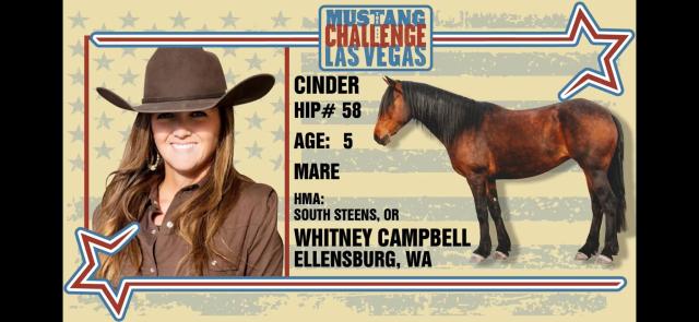 Graphic image of Whitney Campbell and horse, Cinder. Text: Mustang Challenge Las Vegas. Cinder. Hip #58. Age 5. Mare, HMA South Steens, OR. Whitney Campbell Ellensburg, WA.