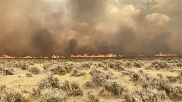 The Prairie Fire can be seen on the horizon of a field of cheatgrass and sagebrush. 