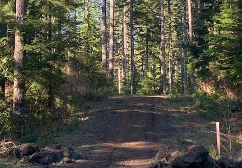 Multiple use trail at the Blue Ridge Trail System