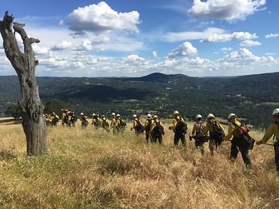 a line of fire fighters hikes through a meadow of dry glass