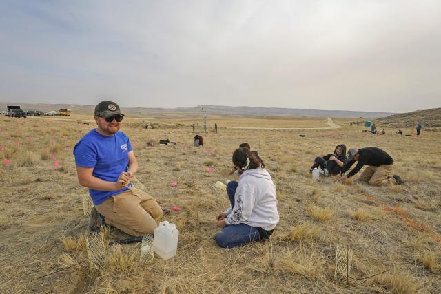 Adults and young people plant sagebrush seedlings in an open, grassy landscape.