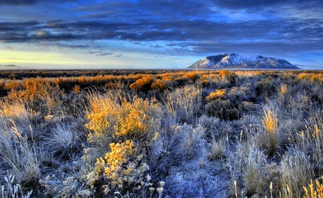 sagebrush and a volcanic butte