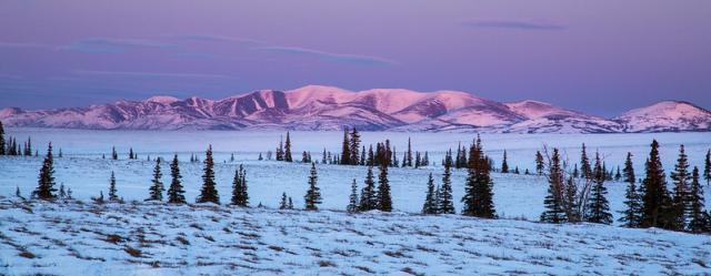 A snow-covered section of the Iditarod National Scenic and Historic Trail with trees, fields, and mountains.