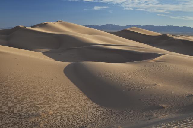 a great sand dune