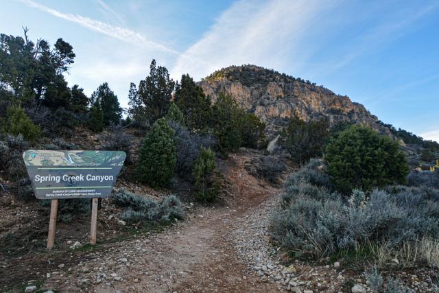 A sign denoting the "Spring Creek Trailhead" near a dirt path heading into a canyon surrounded by mountains.