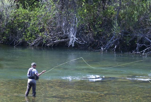 A man fly fishing in the Trinity Wild and Scenic River.