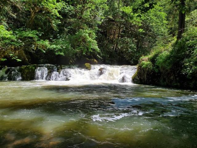 swimming area at Cavitt Creek Falls Recreation Site