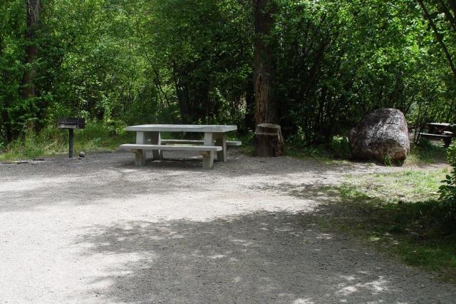 Campsite in Caddis Flats Campground, Uncompahgre Field Office, CO.