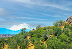 lush green vegetation near a blue sky and a large snowy mountain in the distance