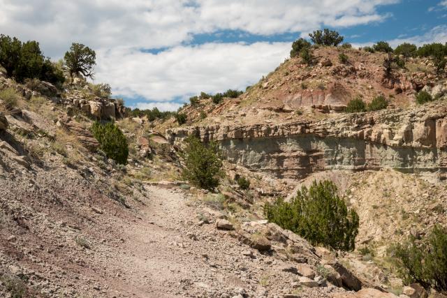 The Marsh Quarry at the Garden Park Fossil Area was involved in the Bone Wars waged between competing scientists who rushed to be the first to discover new species for the very first time.