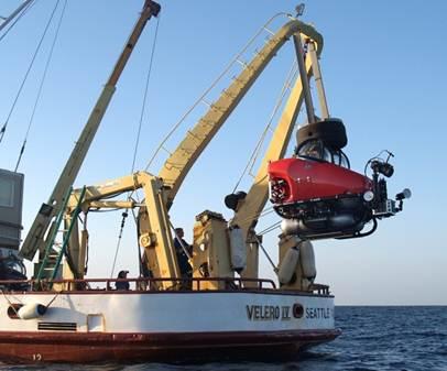 A dive to survey deepwater fish communities at platforms off California. Photo courtesy of BOEM.