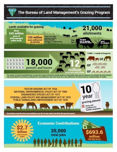 Thumbnail of BLM Grazing infographic