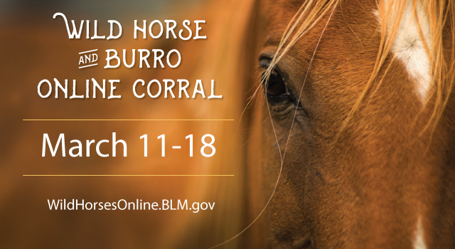 Text reads Wild Horse and Burro Online Corral March 11-18 WildHorsesOnline.BLM.gov