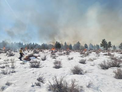 firefighter lights wood piles on fire with a drip torch on a snowy day 