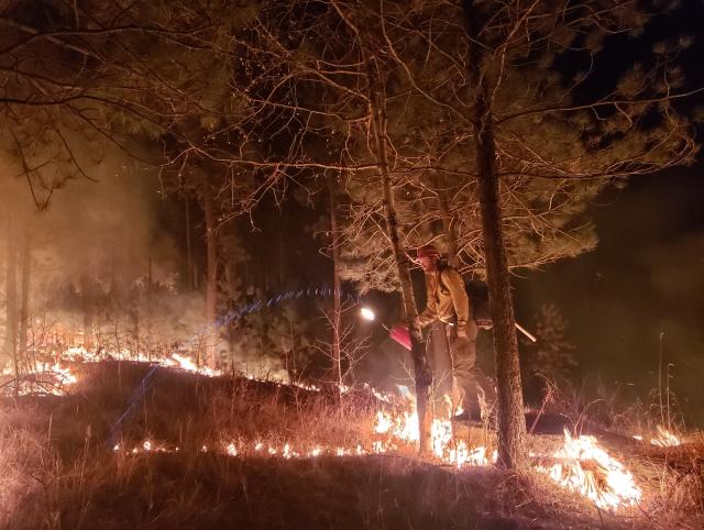 A person uses a large can to make lines of fire at night in the forest