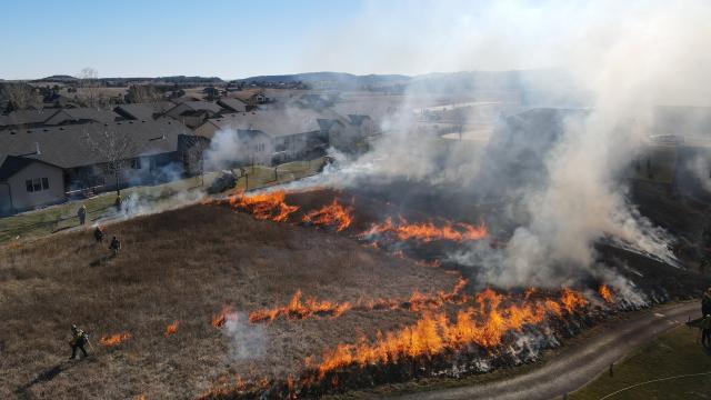 A person lights lines of fire in grass adjacent to homes