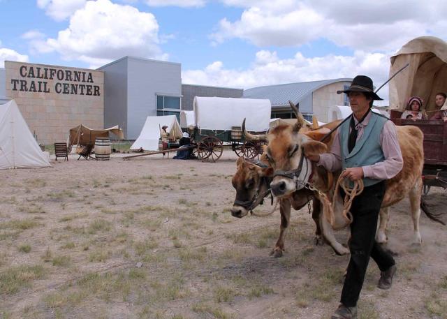 A person dressed in a hat and boots leads cattle pulling a wagon in front of a building that says California Trail Center.