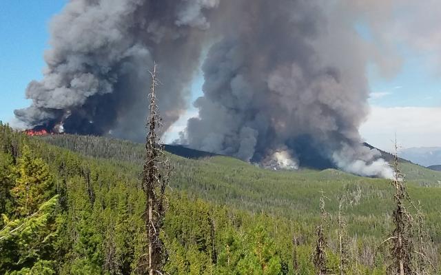A segment of forest engulfed in flame and dark smoke from a prescribed burn