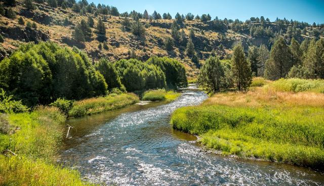 bend in the river with trees on a hillside