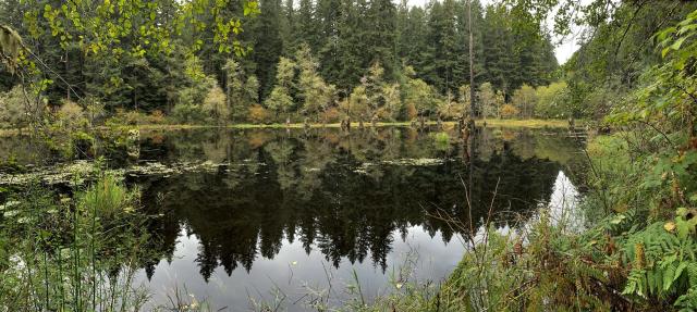 Devil’s Staircase Wilderness