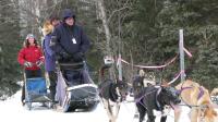Mushers and dog teams coming down the trail at Campbell Tract