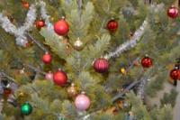 Wy_christmas_tree