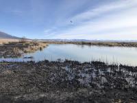 A mosaic of burned and unburned fuel surrounds a pond in the Blanca Wetlands