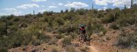 a mountain biker on a rocky trail in a desert landscape