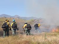 BLM fire crews conducting a prescribed burn in tall grass.