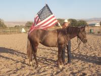 Eastern Idaho 4-H works with wild horse yearling