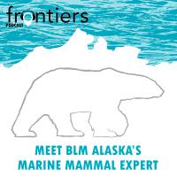 Alaska Frontiers podcast album artwork: Meet BLM Alaska's Marine Mammal Expert. Polar bear over Alaska north slope shape