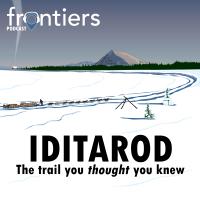 Alaska Frontiers podcast album artwork: Iditarod, the trail you thought you knew. Musher with dogsled team mushing on Iditarod trail with Old Woman mountain in the distance.