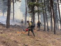 Fire Fighters walk through trees during a prescribed burn. Smoke is rising from the ground.