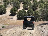 An off-highway vehicle drives down a hill on a dirt and rock trail towards a flat area with juniper trees.