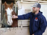 BLM Boise District Wild Horse Wrangler adjusts halter on newly adopted wild horse