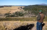 Man stands overlooking rolling hills covered in sagebrush and trees. 