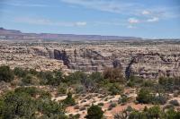 A rocky desert landscape on a sunny day.