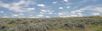 Sagebrush landscape within the jurisdiction of the Four Rivers Field Office.