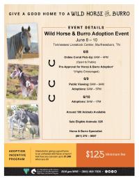BLM to host Wild Horse and Burro Event in Murfreesboro, Tennessee