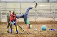 A woman does a handstand beside a burro, both are in costume