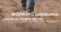 Working Landscapes Livestock Grazing on the Agua Fria National Monument video thumbnail