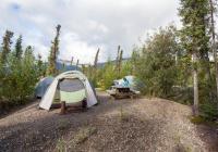 Campsite at BLM's Marion Creek Campground. A person sits at a picnic table surrounded by with three tents. The site is surrounded by boreal forest made up of skinny spruce trees and deciduous trees such as birch, willow and poplar.